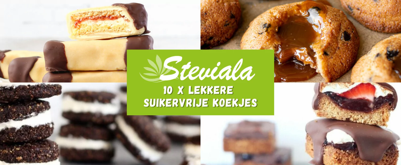 10 most delicious sugar free cookies on a row!