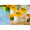 Suikervrije sinaas panna cotta